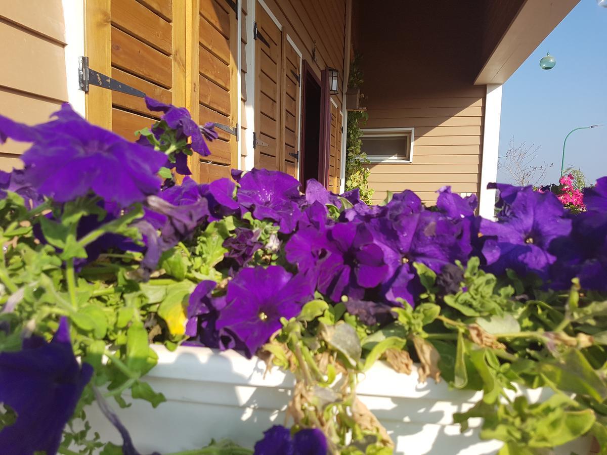 The Butterflies Wood House Villa Reshafim Exterior foto