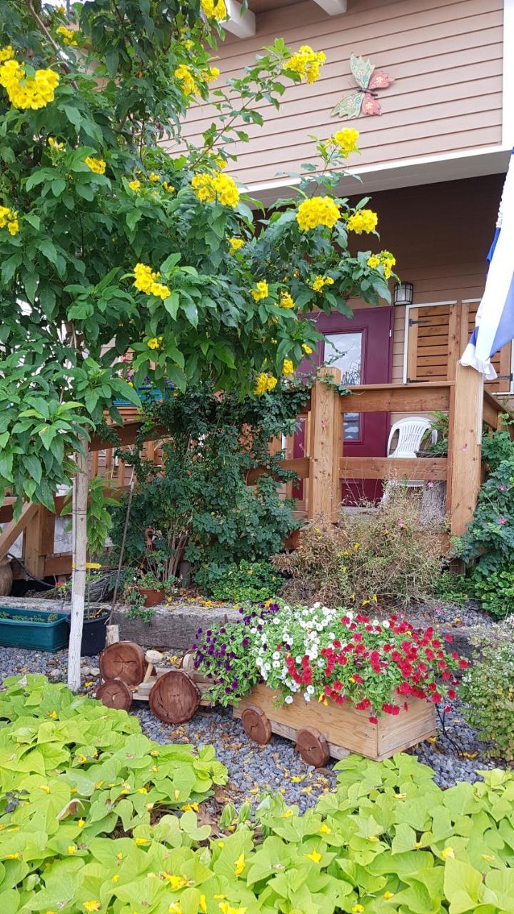 The Butterflies Wood House Villa Reshafim Exterior foto